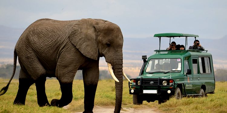 7 Days Rwanda wildlife Safari Tour