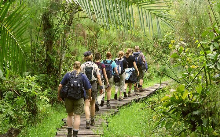 3 Days Chimpanzee Trekking Safari in Kibale National Park