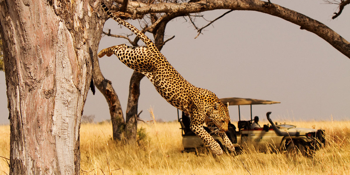 Akagera national park