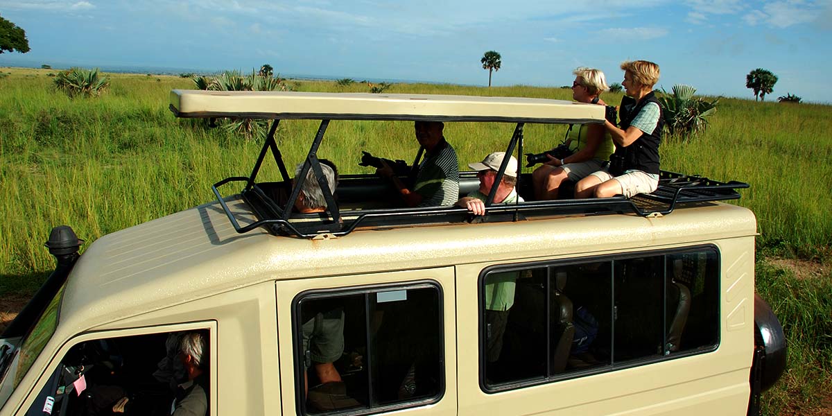 3 days Murchison falls chimpanzee trekking tour & wildlife safari