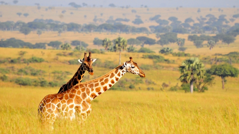 You are currently viewing Lake Mburo National Park