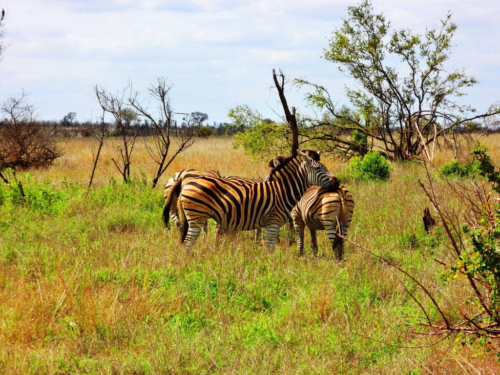 You are currently viewing Top 5 Tourism Destinations in Uganda