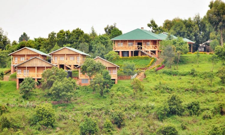 Bwindi Gorilla Safari Lodge