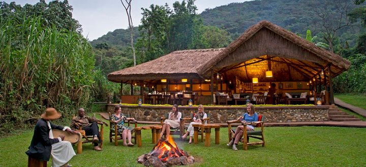 Read more about the article Bwindi Sanctuary Gorilla Forest Camp 