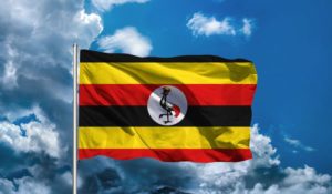 Read more about the article Best Time to Visit Uganda 