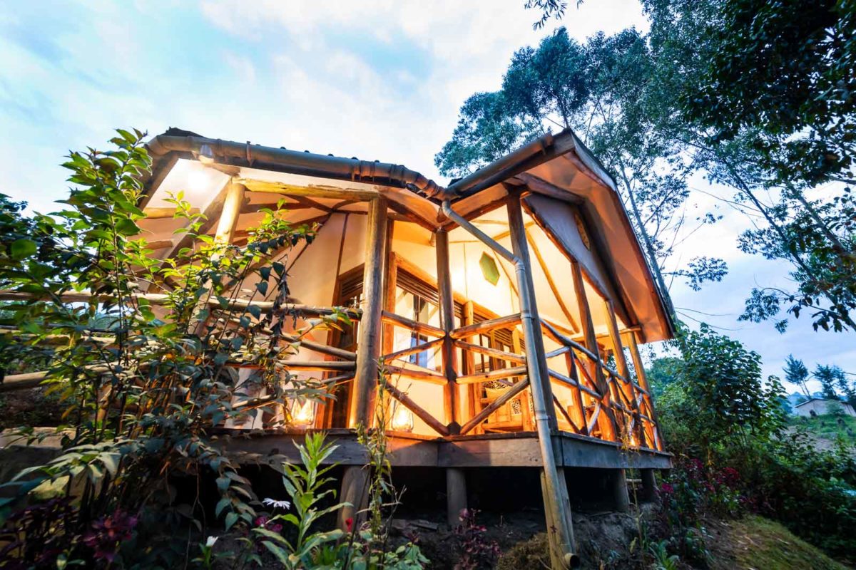 Read more about the article Bwindi Gorilla Safari Lodge