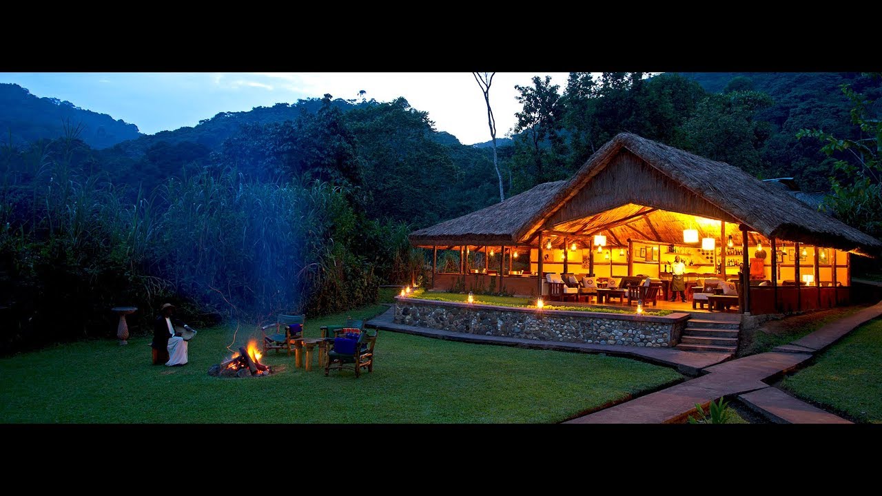 Bwindi Sanctuary Gorilla Forest Camp 