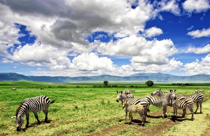 Read more about the article 3 days Ngorongoro and Tarangire tour