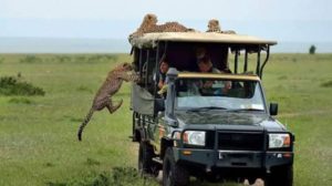 3 Days wildlife and cultural Masai Mara safari