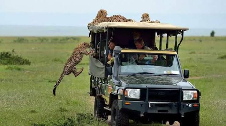 You are currently viewing 2 days Masai Mara safari