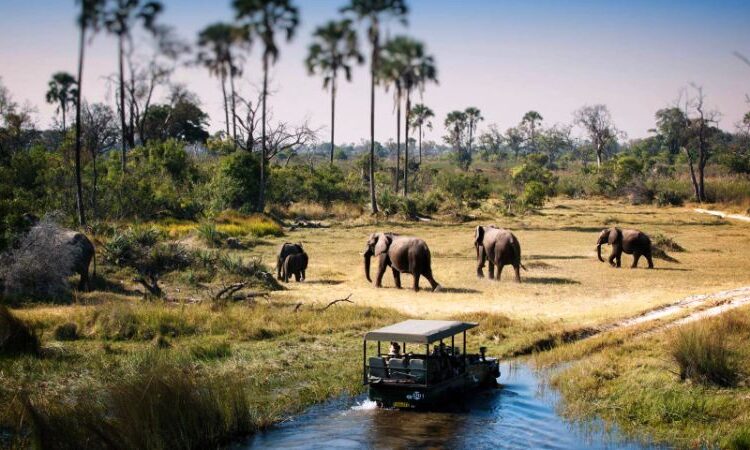 3 days Ngorongoro and Tarangire tour