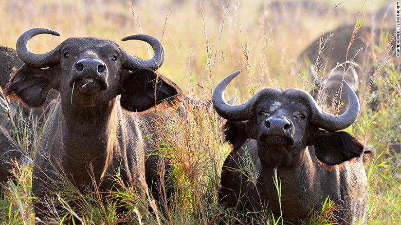 Kipedo valley national park