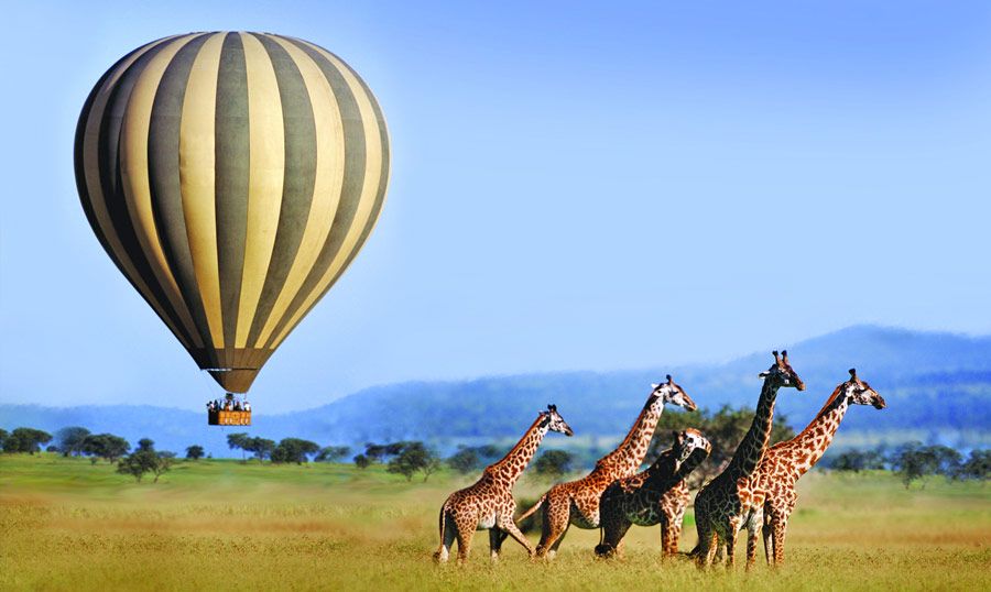 Serengeti national park