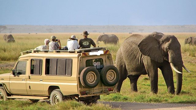 Read more about the article Serengeti national park