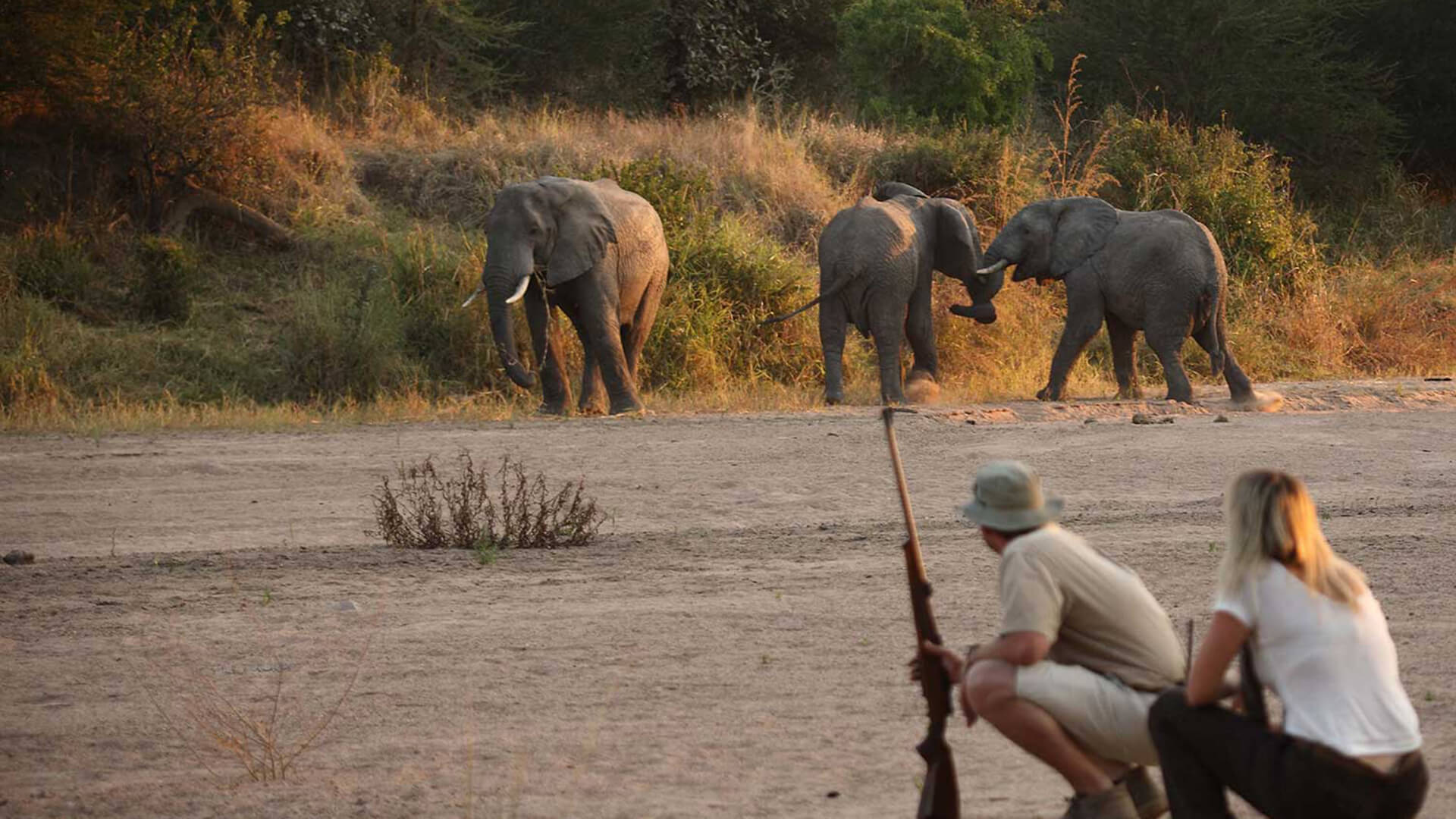 You are currently viewing Ruaha National Park