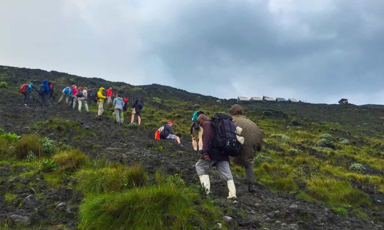 Read more about the article 4 days Gorilla trekking & Mount Nyiragongo hike Congo safari from Kigali