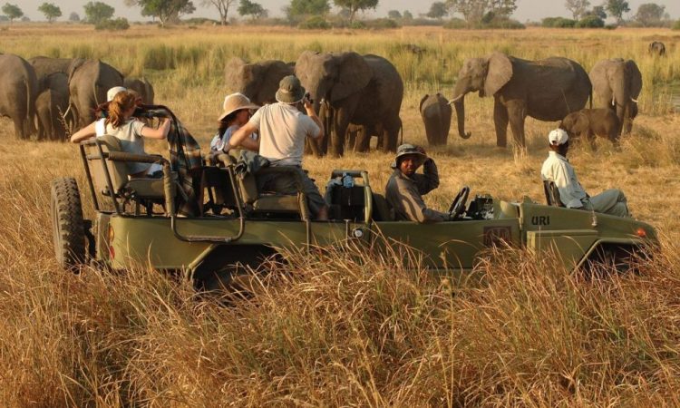 5 days Kidepo Valley National Park Safari