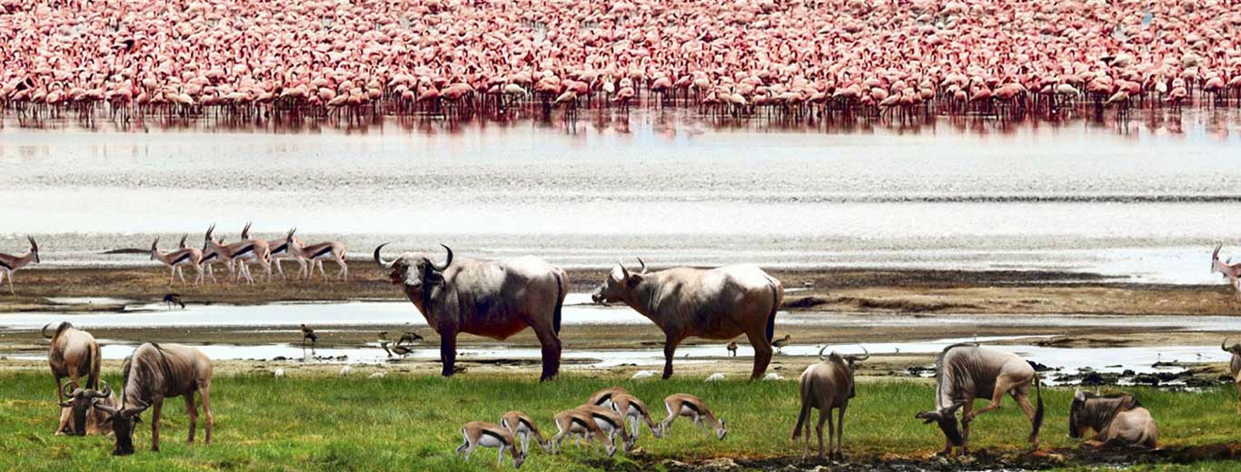 You are currently viewing Lake Manyara National Park