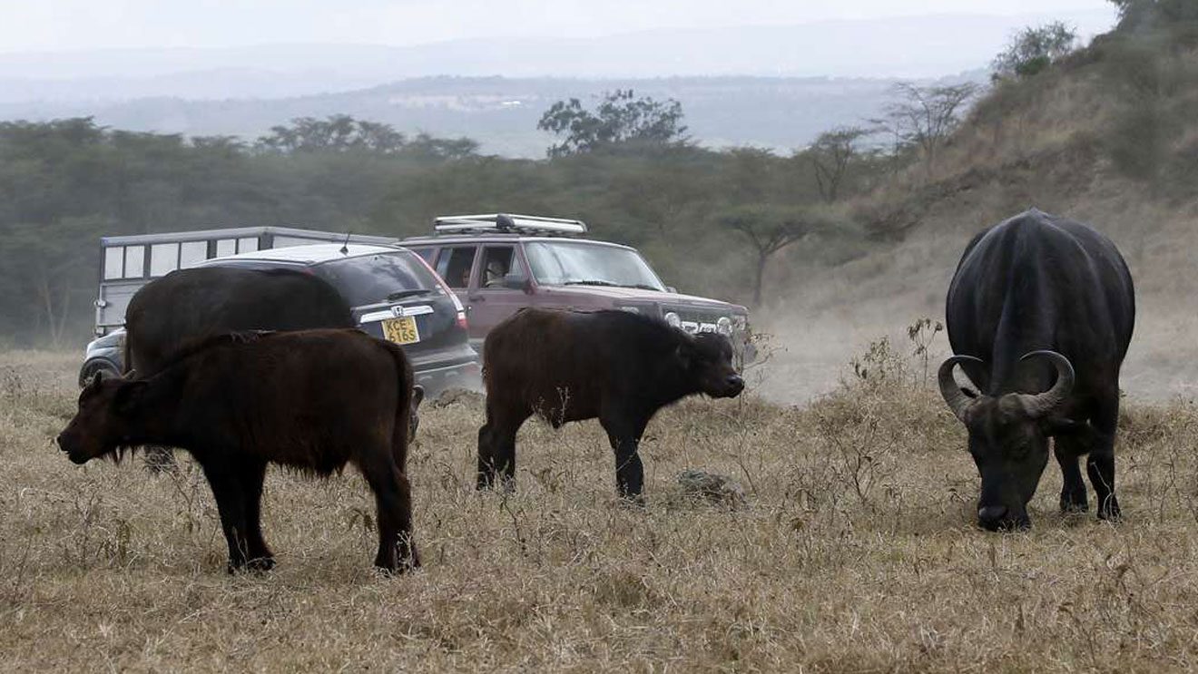 Lake Nakuru National Park