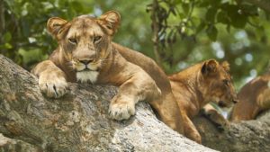 Kidepo Valley National Park