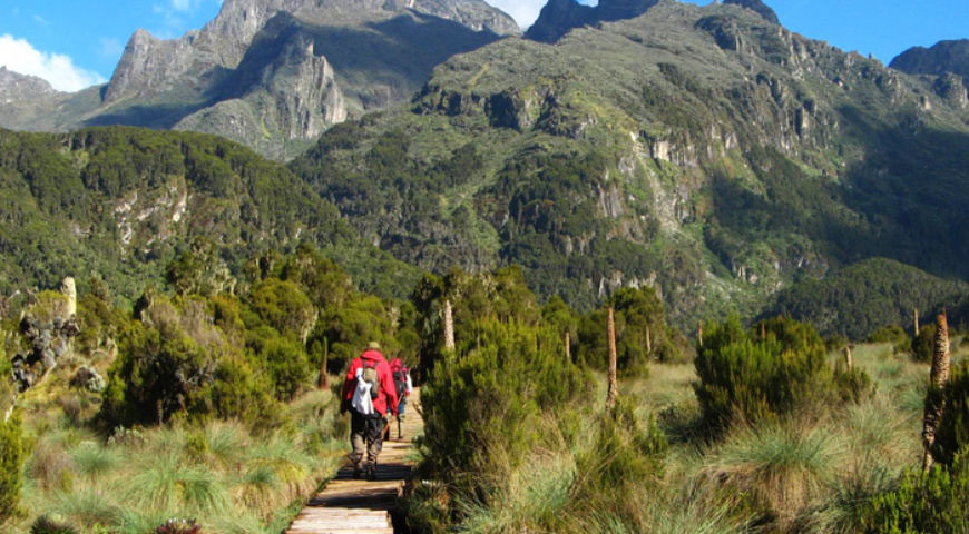 Mount Elgon national park