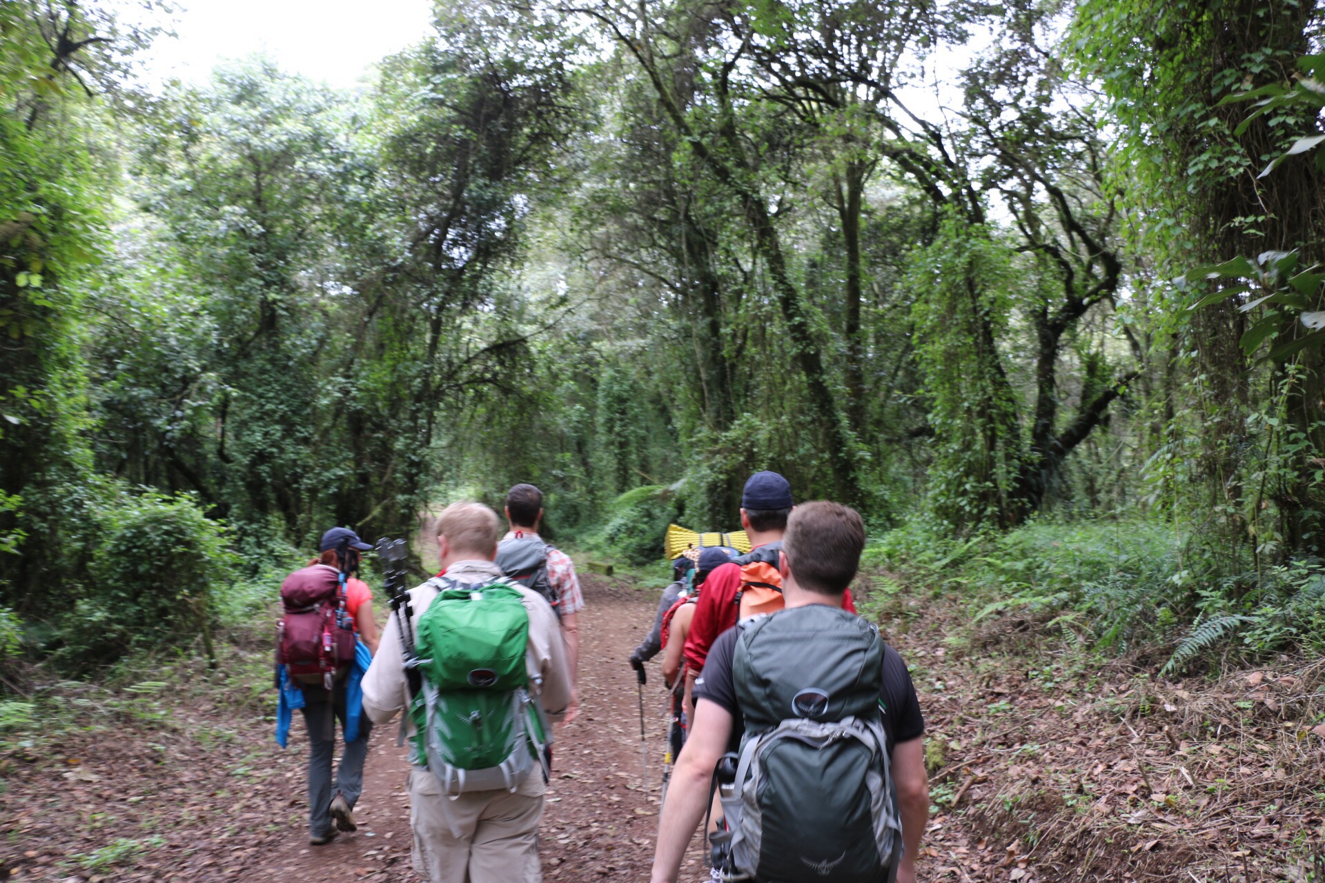 Mount Kilimanjaro national park