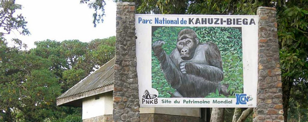 You are currently viewing Kahuzi biega national park