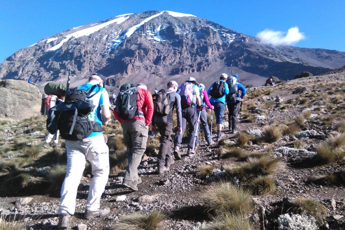 Mount Kilimanjaro national park