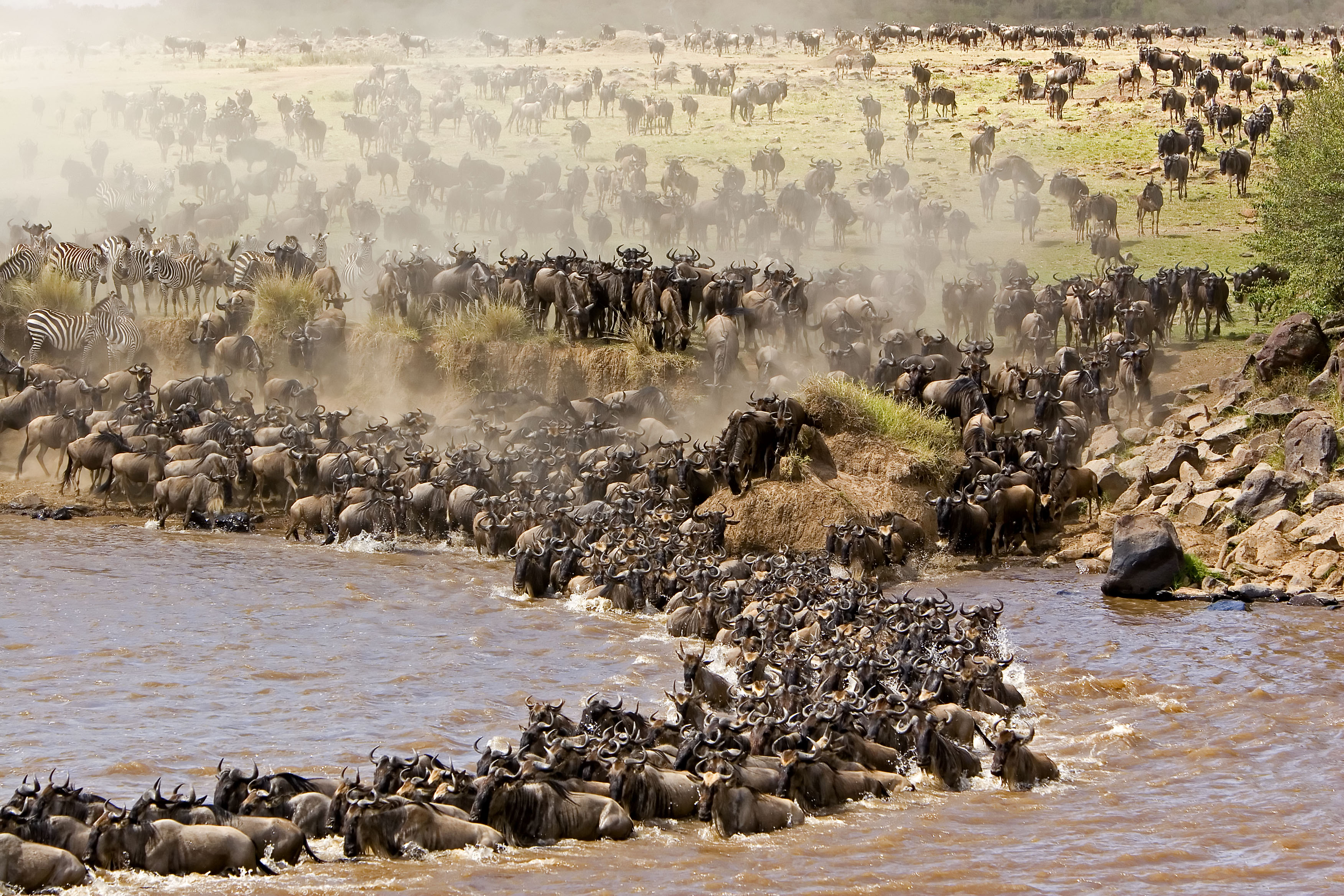 Maasai Mara national reserve