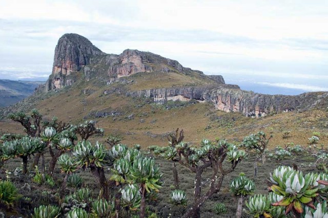 Mount Elgon national park