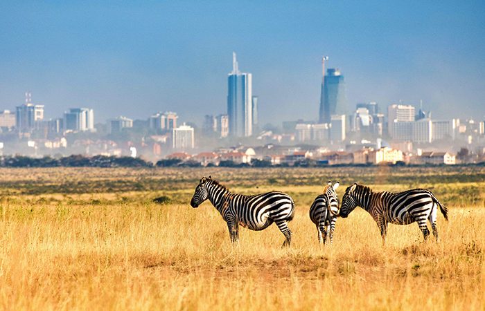 Read more about the article Nairobi National Park