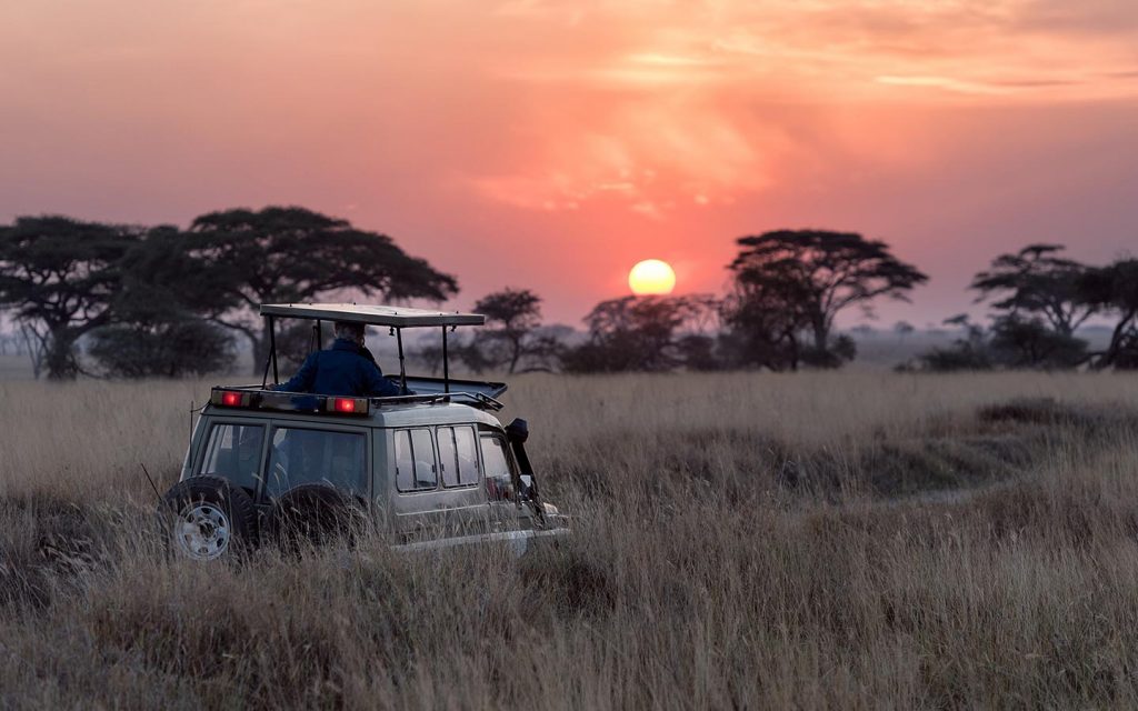 Where to do Night Game drives in Uganda