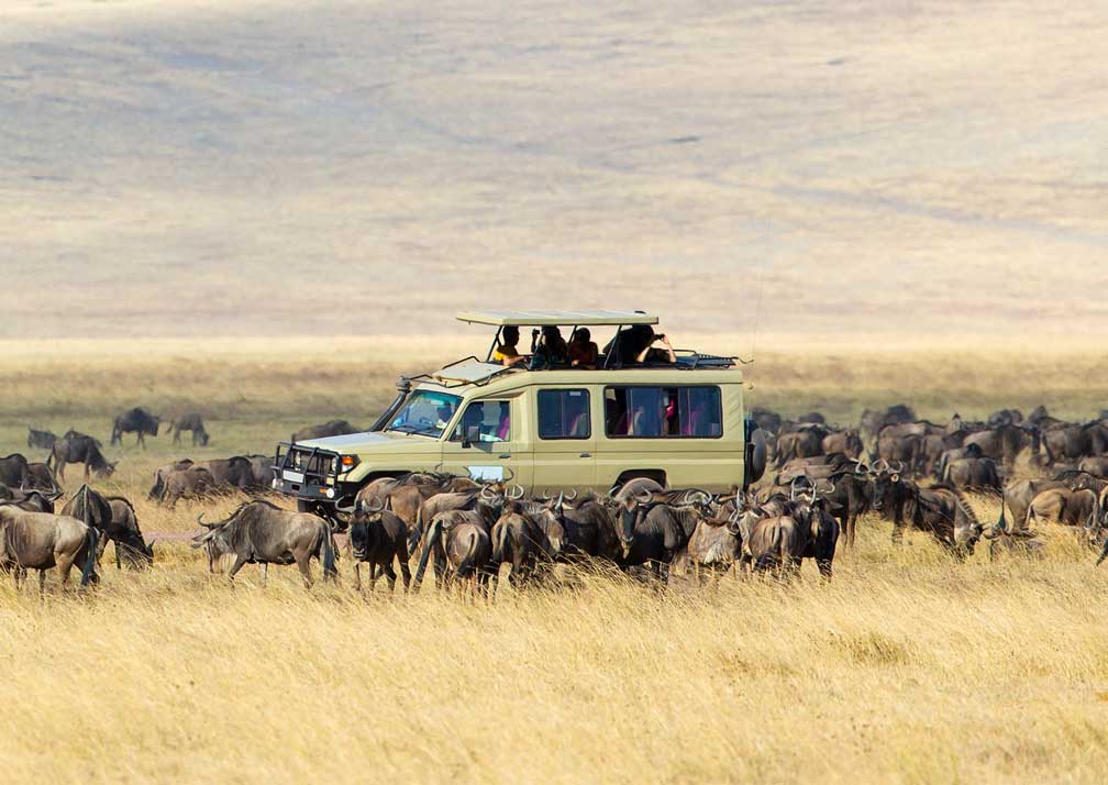 Serengeti national park