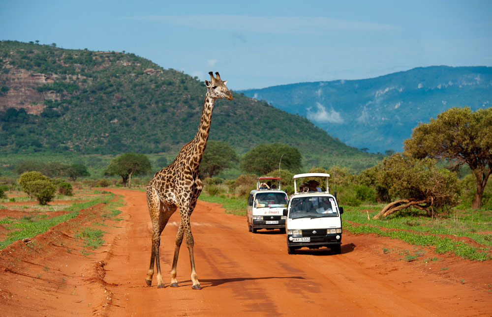 Tsavo National Park 