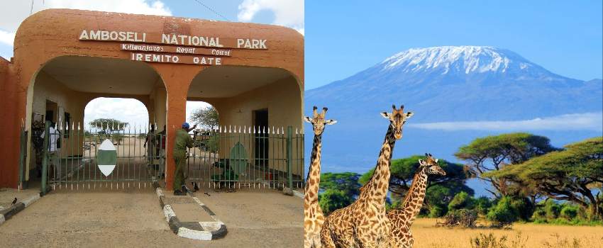 Read more about the article Amboseli National Park