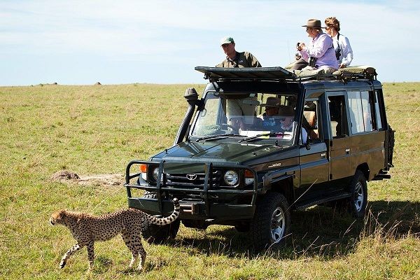 Read more about the article Maasai Mara national reserve