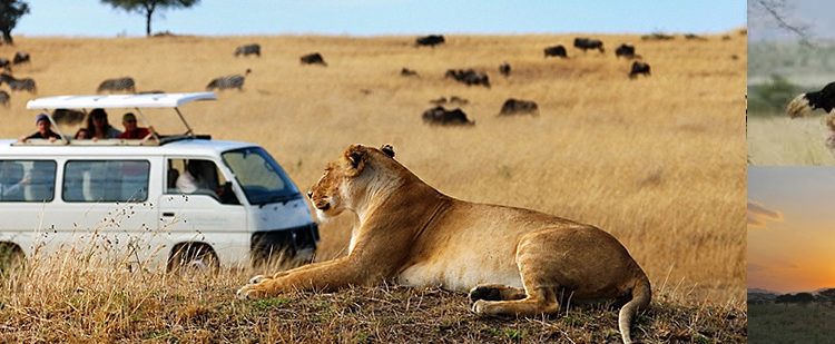 Read more about the article 5 days Kidepo Valley National Park Safari