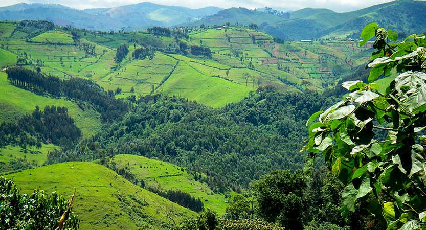 You are currently viewing Gishwati-Mukura National Park