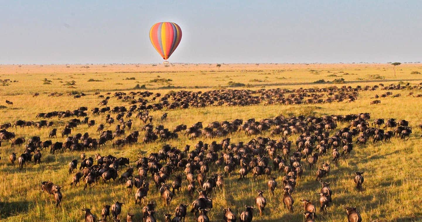 Maasai Mara national reserve