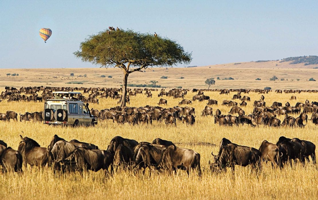 7 Days Kenya Safari tour