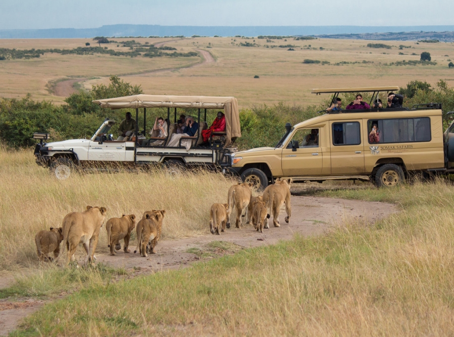 Read more about the article 5 days Big 5 Kenya safari