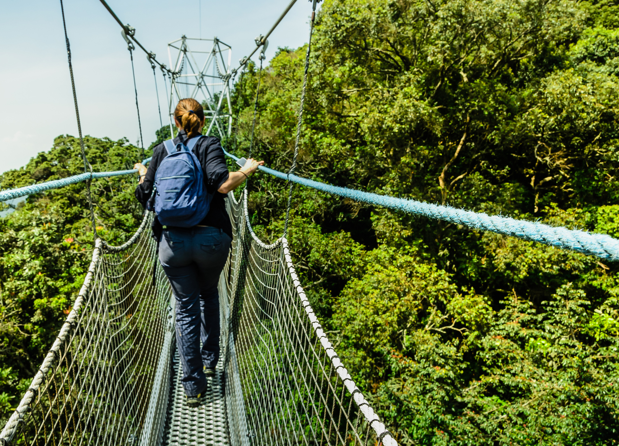 Read more about the article Nyungwe Forest National Park