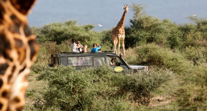 You are currently viewing 5days Murchison falls and chimpanzee trekking tour