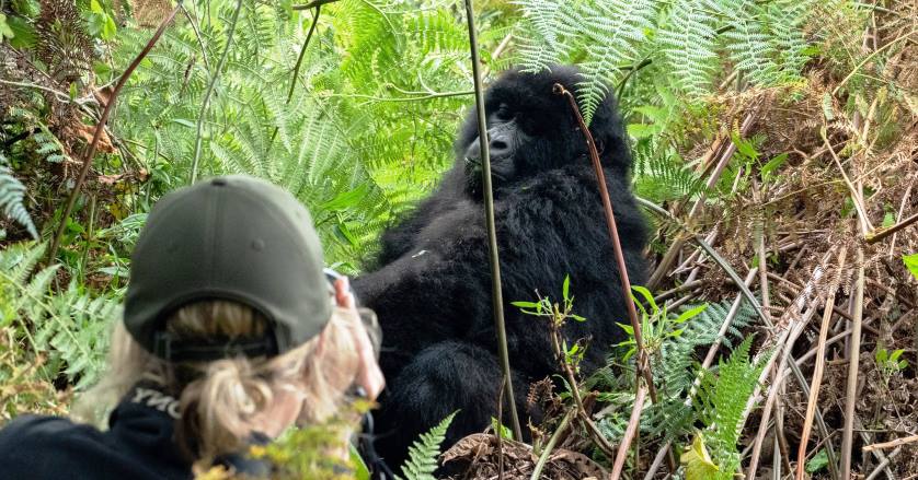 You are currently viewing Park Entrance Fees for Bwindi Impenetrable National park