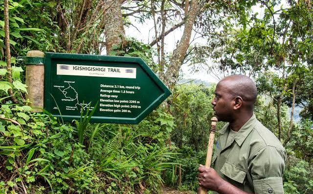 Nyungwe Forest National Park