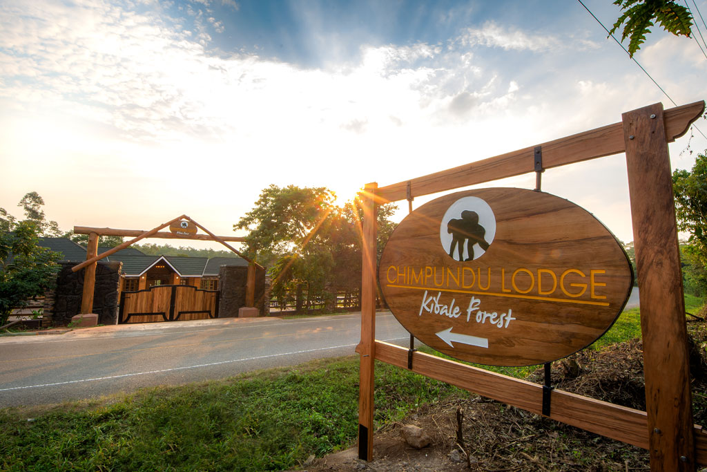 Read more about the article Chimpundu lodge