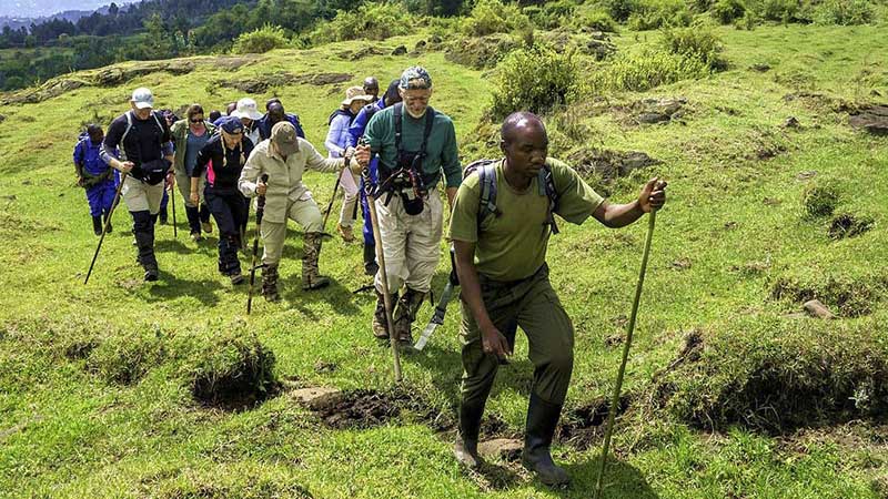 Read more about the article Mount Karisimbi